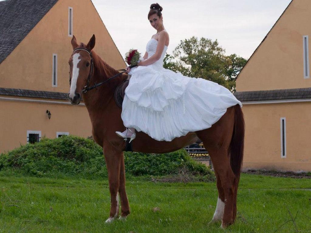 Dvur Olsiny -Hotel And Horse-Riding Karviná Esterno foto